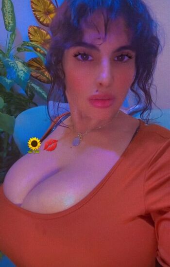 girasol..s